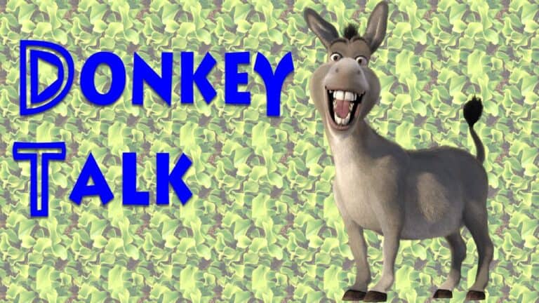 Harry’s Video Blog – Donkey Talk – Parshat Balak 5775